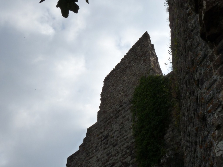 Ruines du chateau - Évenos