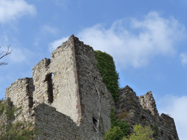 Ruines du chateau - Évenos