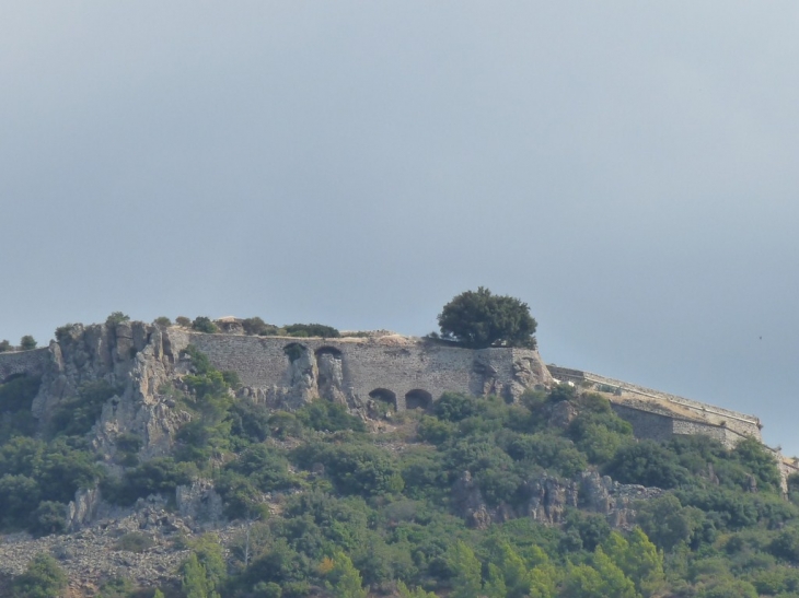 Fort Pipaudon - Évenos