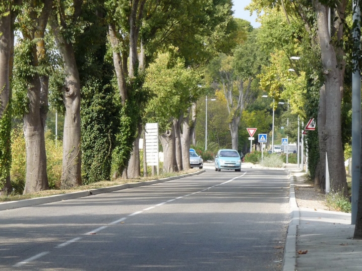 Route de Toulon - Évenos