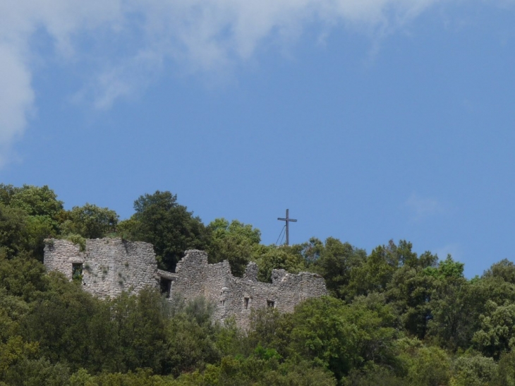 Ruine du chateau  - Flassans-sur-Issole