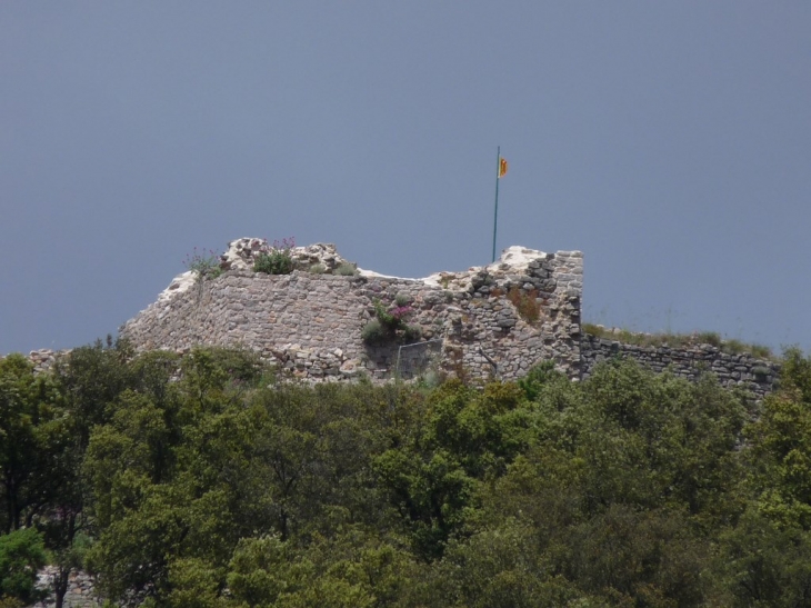 Ruine du chateau  - Flassans-sur-Issole