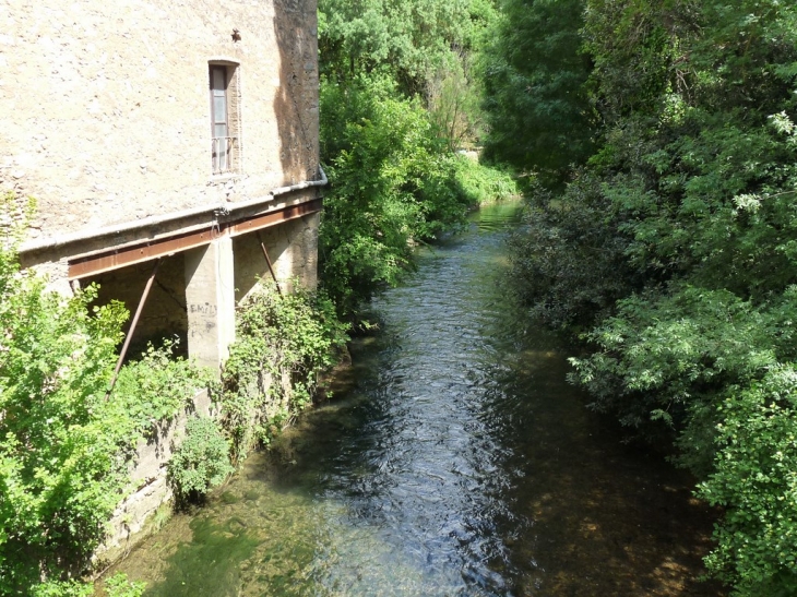 Le long de l'Issole - Flassans-sur-Issole