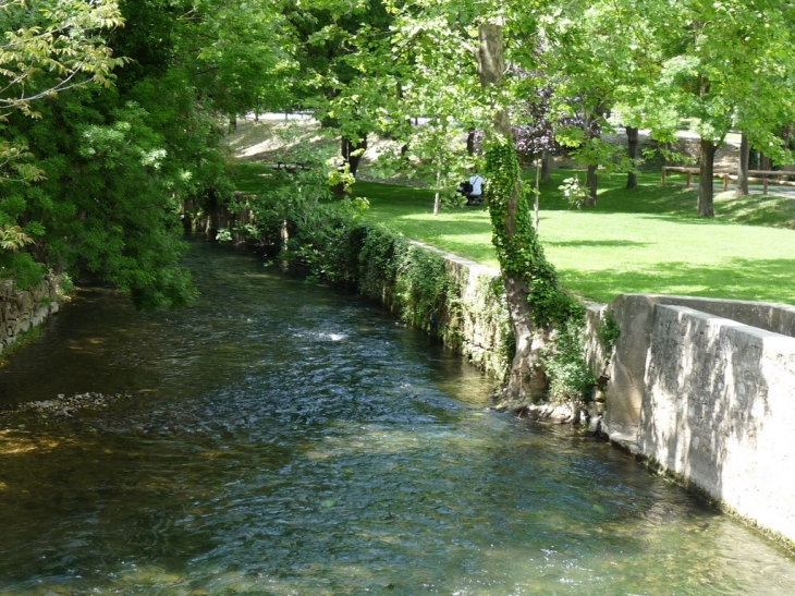 Le long de l'Issole - Flassans-sur-Issole