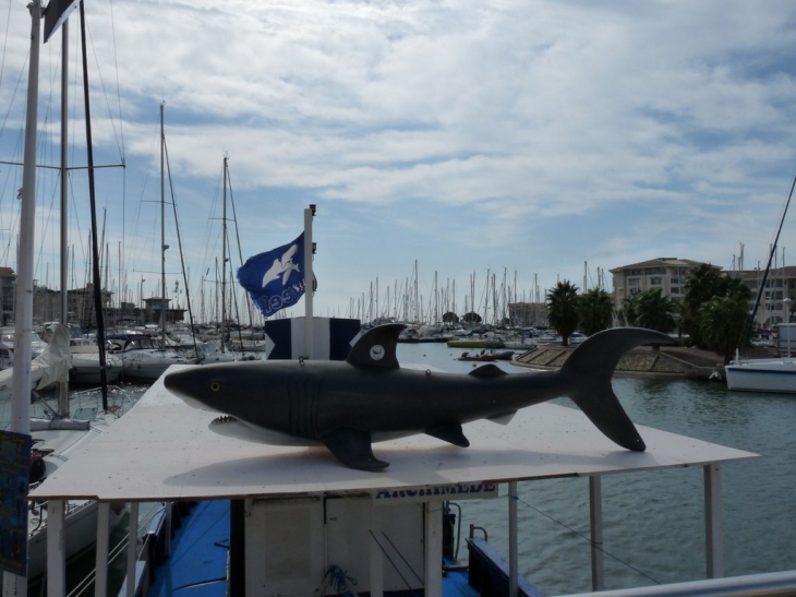 Le port - Fréjus