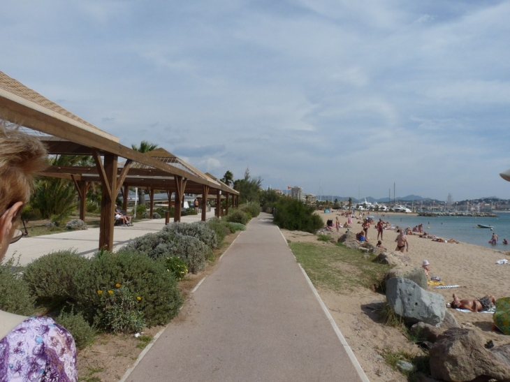 Dans le  jardin sur le bord de la plage - Fréjus