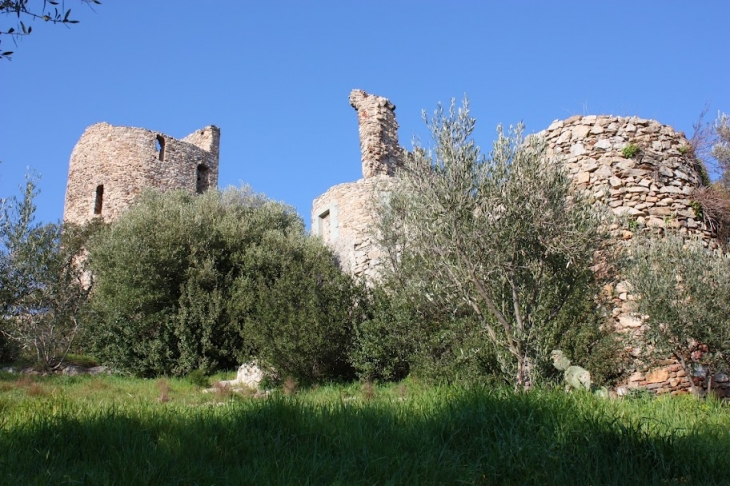 Le château de Grimaud