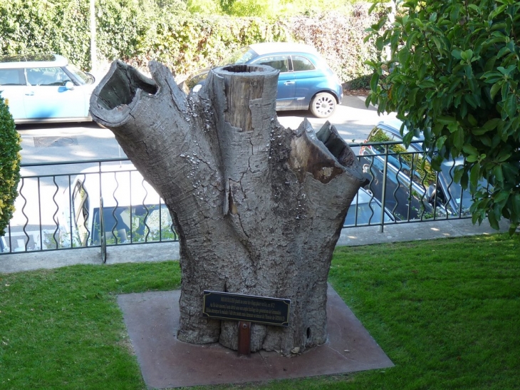 Devant la Mairie - Grimaud