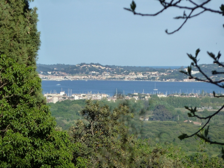 Vue sur le port - Grimaud