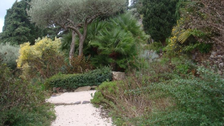 JARDIN EXOTIQUE DE LA VILLA NOAILLE - HYERES-VAR - Hyères