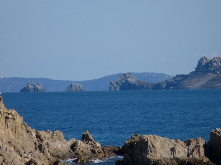 Le Cap des Mèdes , vue du littoral - Hyères