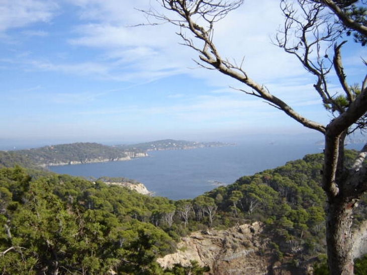 Giens l'anse du Niel - Hyères