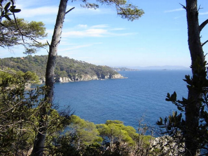 Giens l'anse du Niel - Hyères