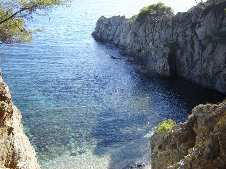 La pointe Escampobariou - Hyères