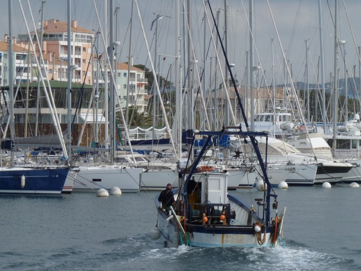 Manuel , retour de peche - Hyères