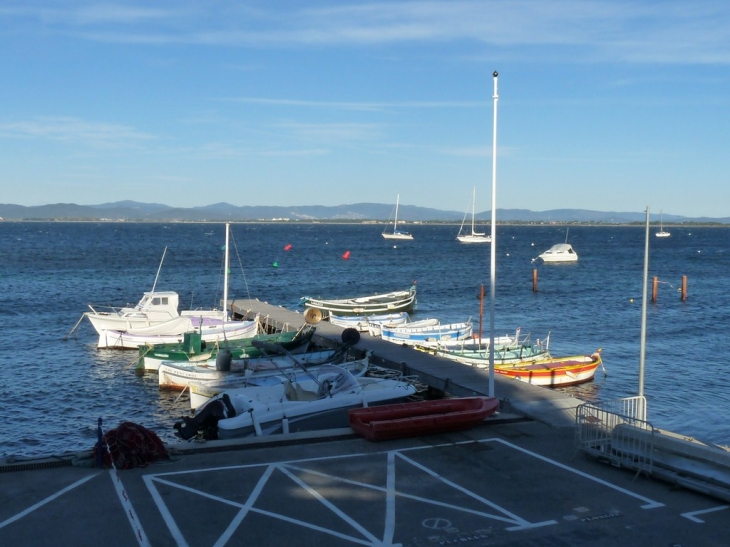 Le port de la Madrague - Hyères