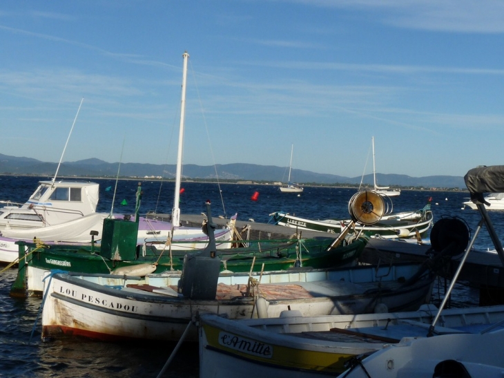 Le port de la Madrague - Hyères