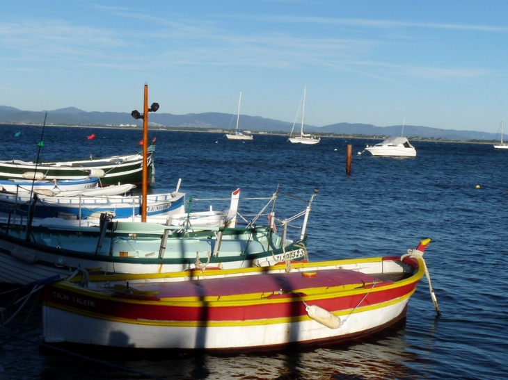 Le port de la Madrague - Hyères