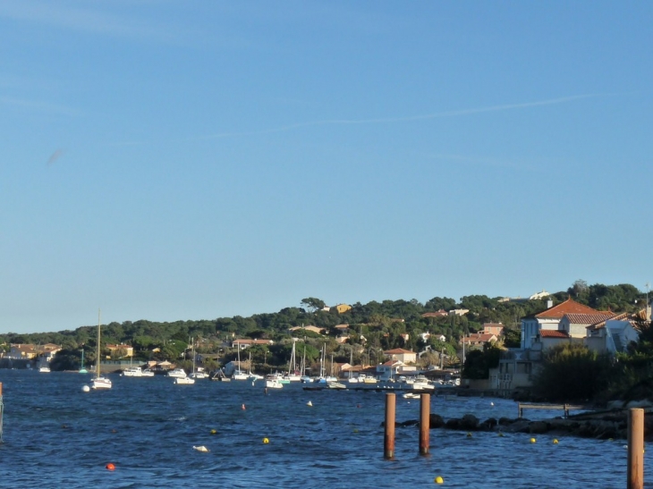 Le port de la Madrague - Hyères