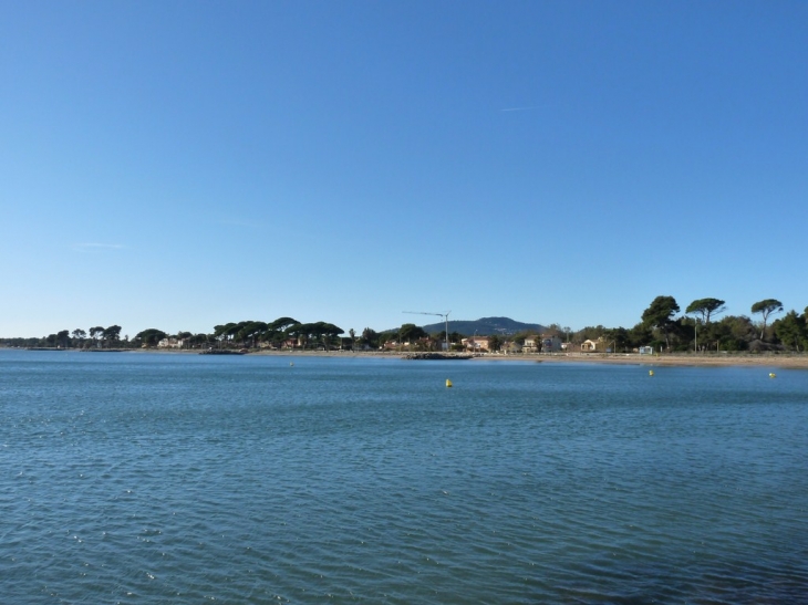 Au port de l'Ayguade - Hyères