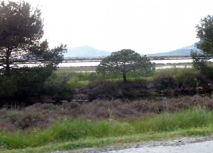 La presqu'île de Giens - Hyères