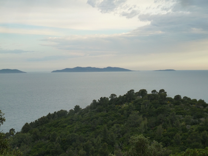 Vue sur les îles - Hyères