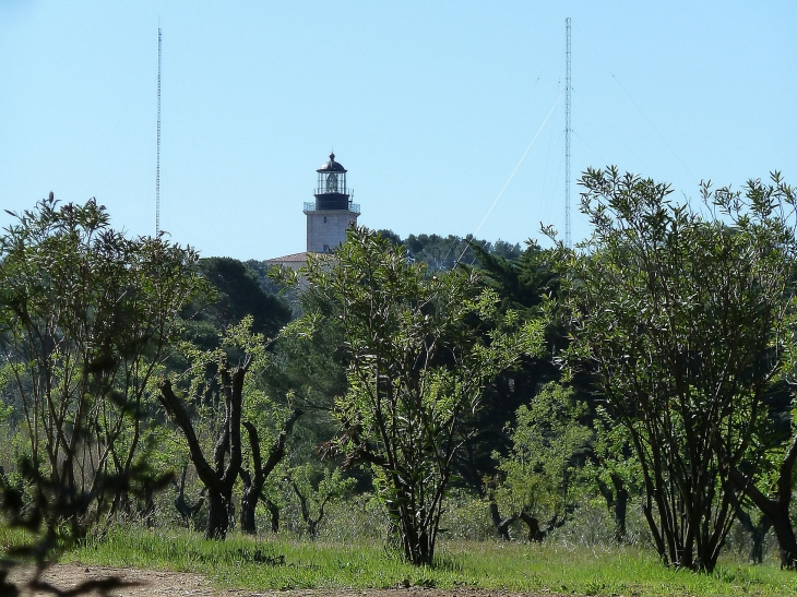 Ile de Porquerolles :le sémaphore - Hyères