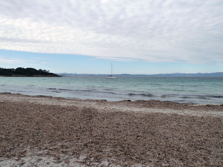 Ile de Porquerolles :plage - Hyères