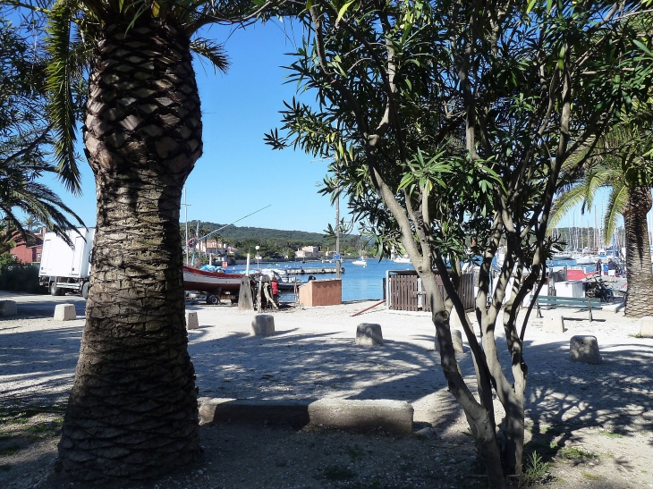 Ile de Porquerolles :le port - Hyères