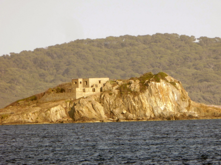 Port du Niel - Hyères