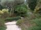 Photo suivante de Hyères JARDIN EXOTIQUE DE LA VILLA NOAILLE - HYERES-VAR