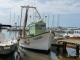 Photo précédente de Hyères A port Pothuau