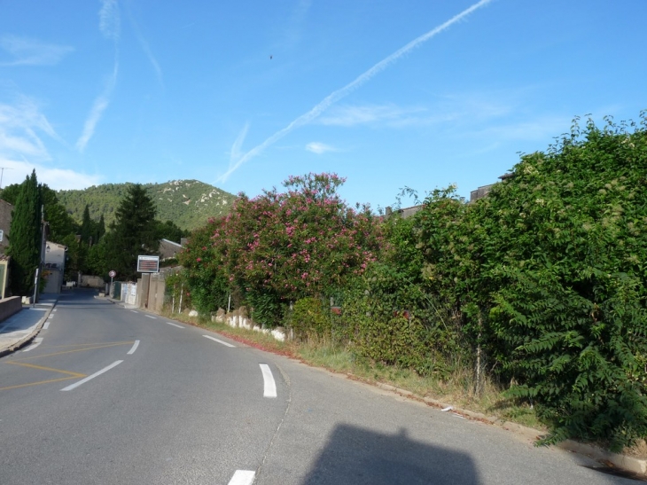 Dans le village , route de Brignoles - La Celle