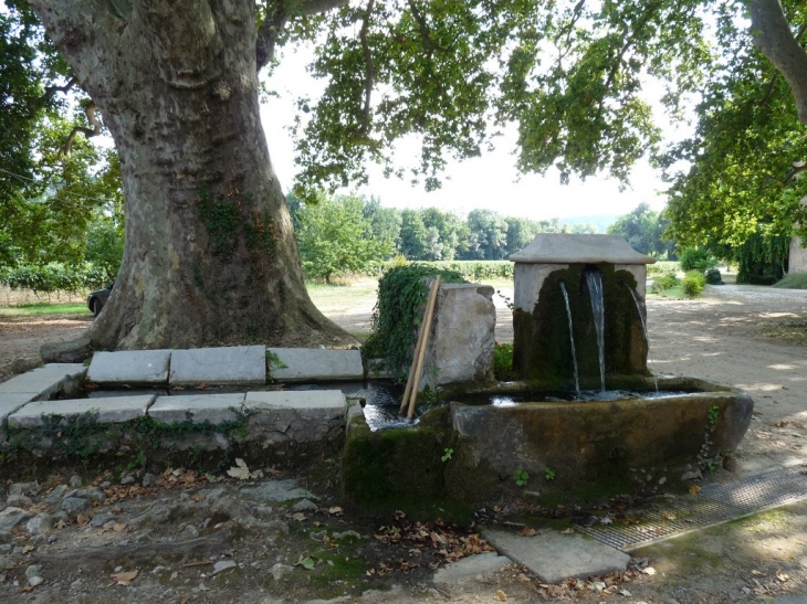 Au domaine de la Gayole - La Celle