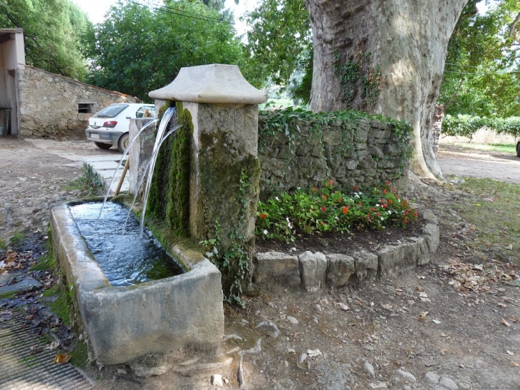 Au domaine de la Gayole - La Celle