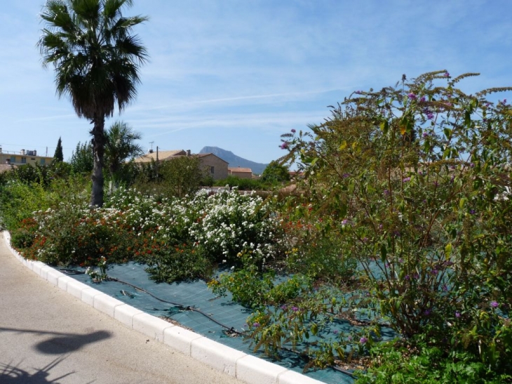 Esplanade du souvenir français - La Crau