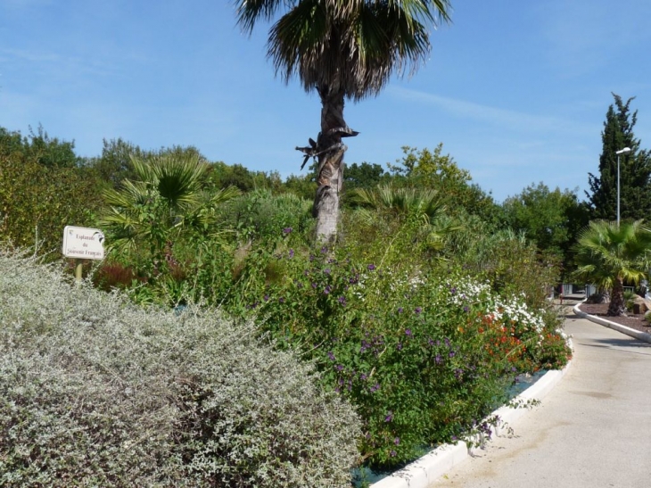 Esplanade du  souvenir français - La Crau