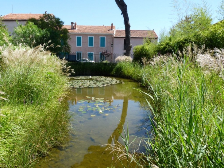 Dans le jardin communal - La Farlède