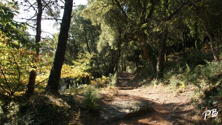 Sur le chemin qui méne au Calvaire - La Garde-Freinet