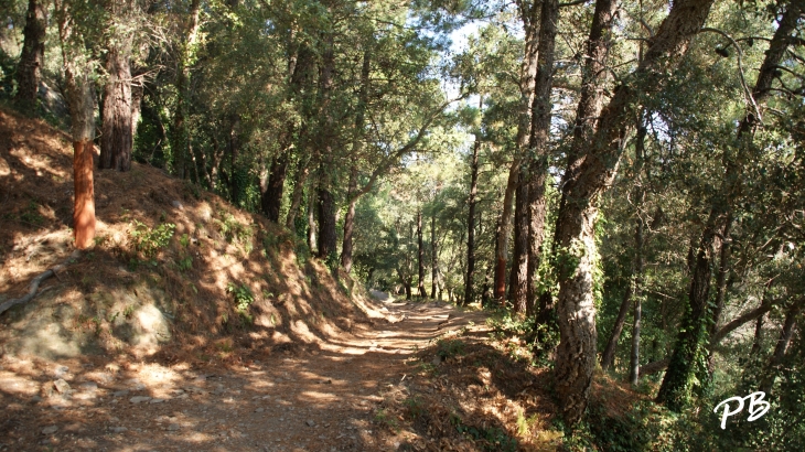  - La Garde-Freinet