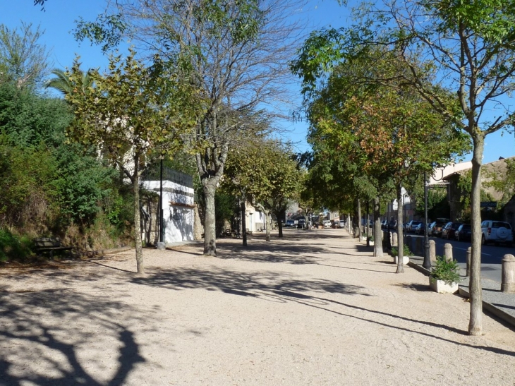 Le jeux de boules le long de l'avenue de l'Esplanade - La Garde-Freinet