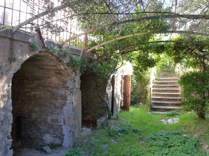 Sur l'avenue de l'Esplanade - La Garde-Freinet