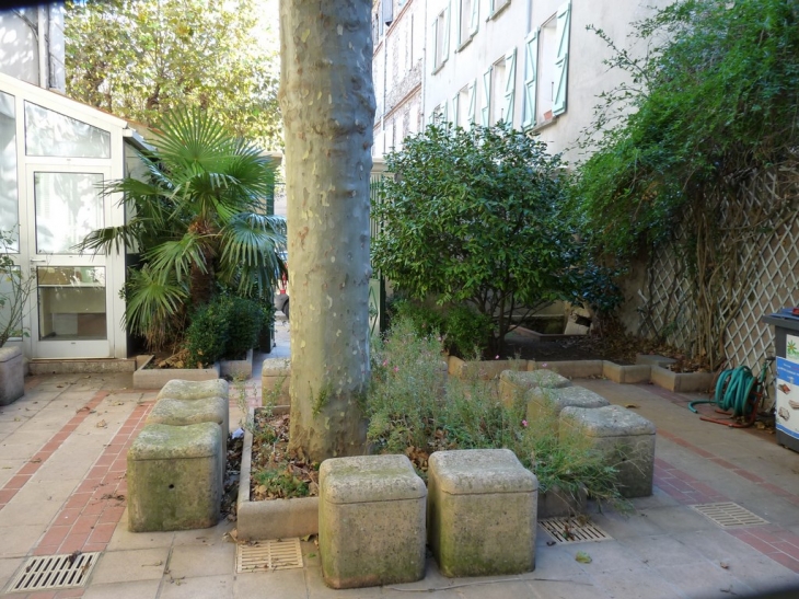 Place de l'hotel de ville - La Garde-Freinet