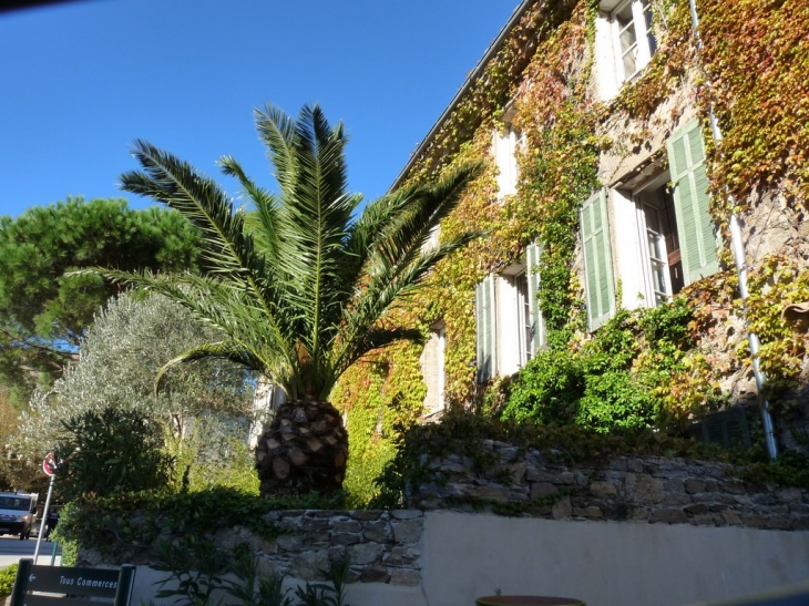 Sur la route nationale, pres de l'office de tourisme - La Garde-Freinet