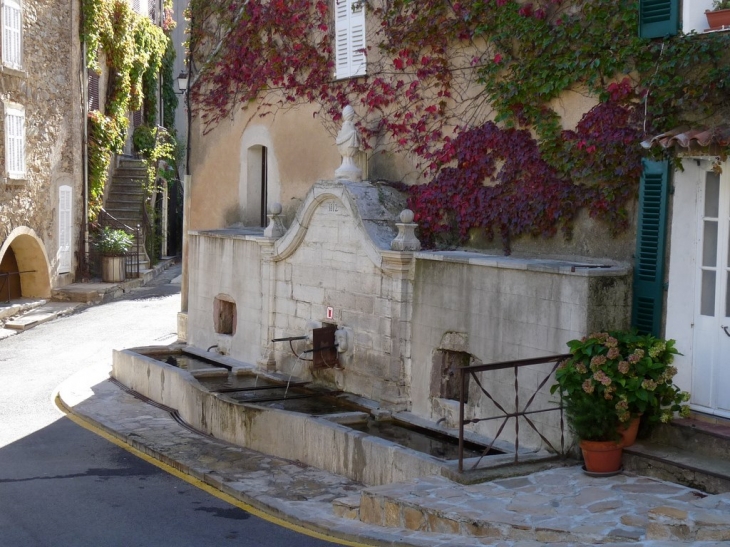 La vielle fontaine - La Garde-Freinet