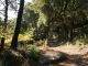 Photo suivante de La Garde-Freinet Sur le chemin qui méne au Calvaire