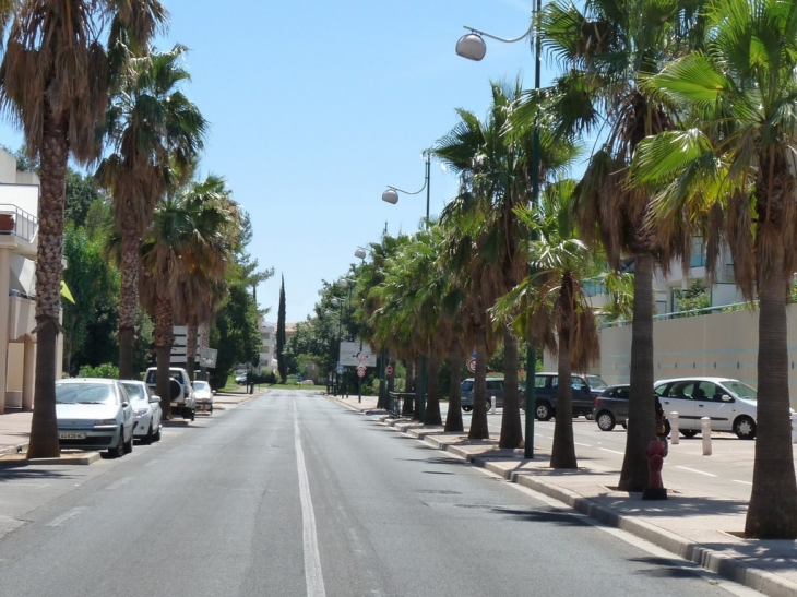 Avenue de L'Amiral Muselier - La Garde