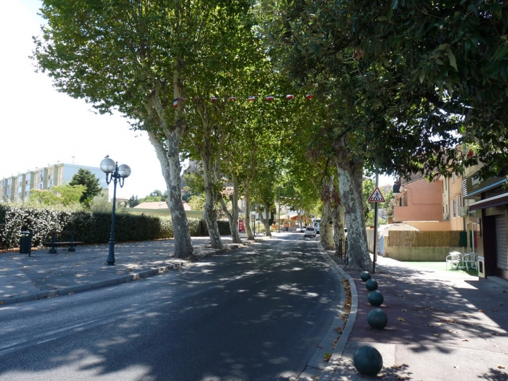 Avenue Roger Salengro - La Garde