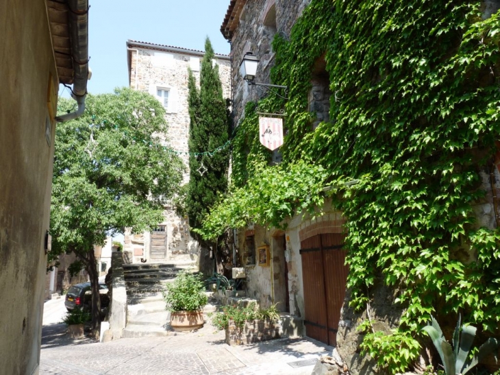 Le chateau de Passis - La Garde