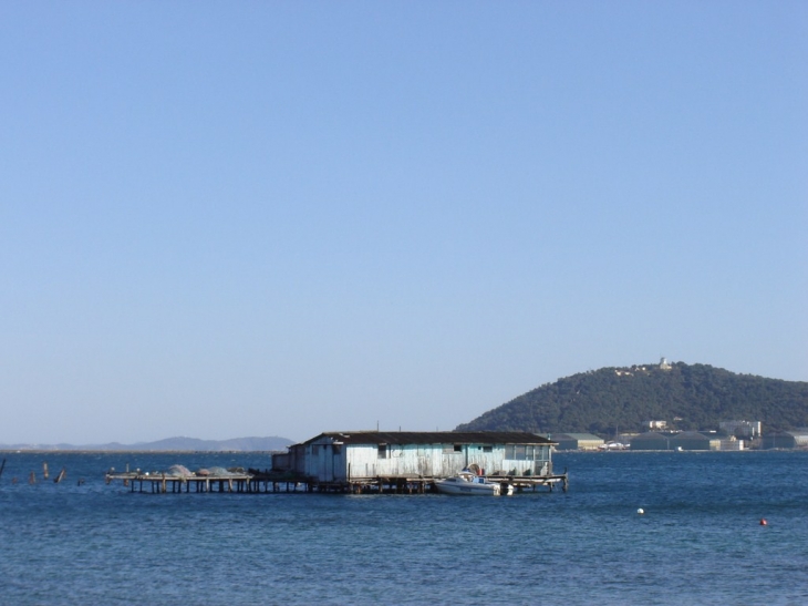 Ferme aquacole dans la baie de Balaguier - La Seyne-sur-Mer